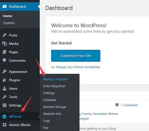 WPvivid backup plugin