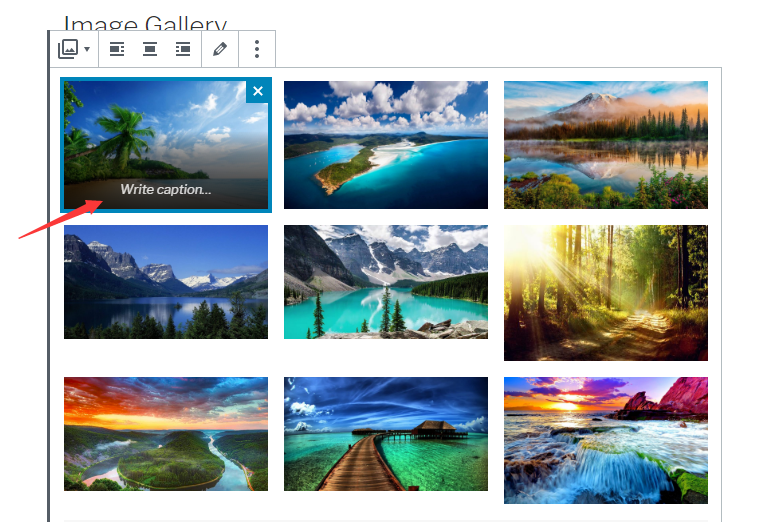 create a photo gallery in WordPress